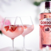 Gin Gordons Pink 700 ml - Image 2