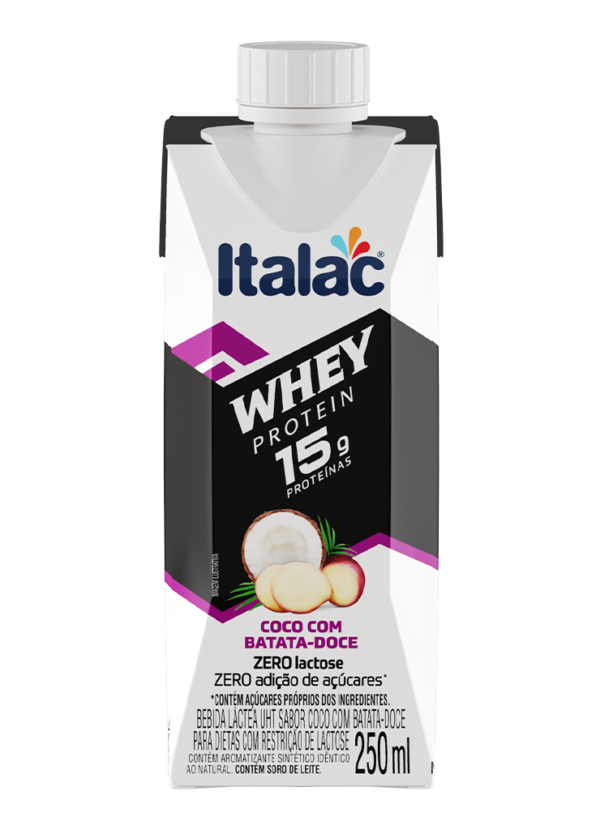 Bebida Láctea Whey Protein 15g Zero Lactose